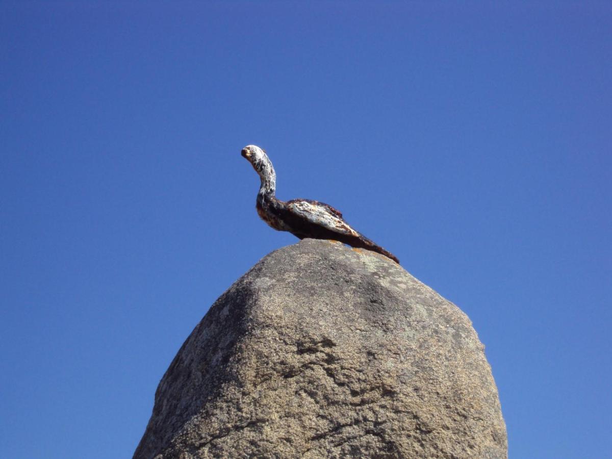 Nueve Olas, A Lanzada, Vivelo!! 桑亨霍 外观 照片